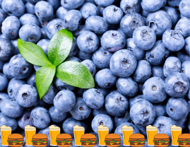 Beer, Burgers, and Blueberries Mystery Tour; Wednesday September 9, 2026