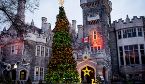 Christmas at the Castle & Victorian Tea; Friday November 28, 2025