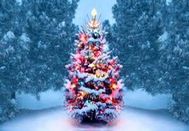 OH So Festive Mystery Tour; Wednesday November 12 – 15, 2025