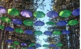 Up! Up! Up! A SENSE-ational Mystery Tour; Thursday August 27, 2026